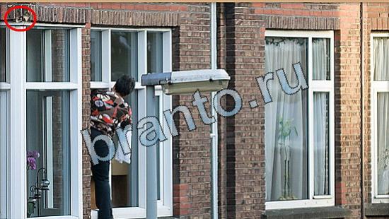 решения для игры Где же кот Уровень 4828