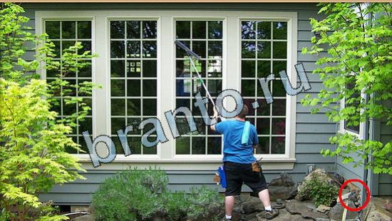 Где же кот игра ответы Уровень 4829