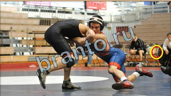 ответы на игру Где же кот Уровень 4841