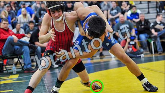 Подсказки на игру Где же кот Уровень 4842