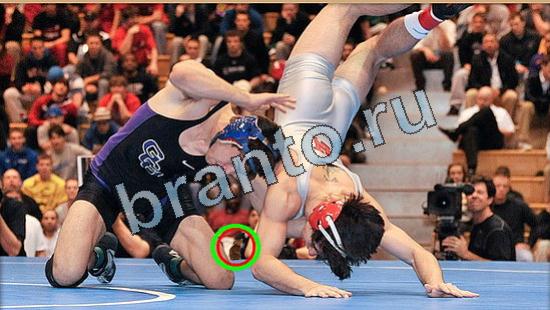 Решения на игру Где же кот Уровень 4843