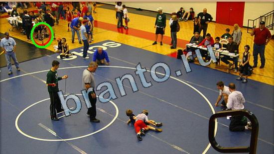 Помощь на игру Где же кот Уровень 4844