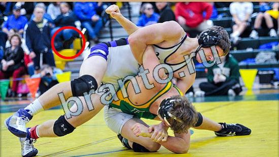 ответы на игру в одноклассниках Где же кот Уровень 4846