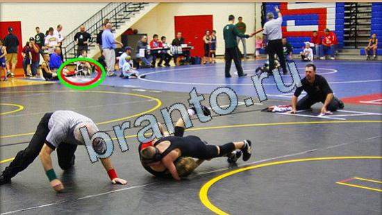 Где же кот игра ответы в одноклассниках Уровень 4847