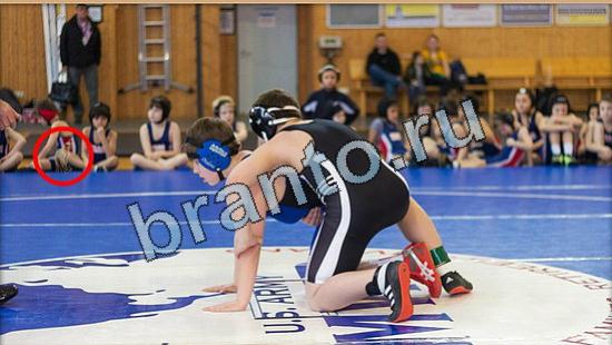 Где же кот? ответы Уровень 4848