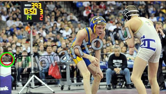 Где же кот? помощь Уровень 4850