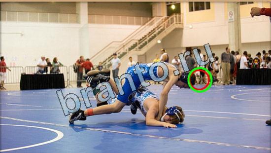 Где же кот игра ответы Уровень 4853