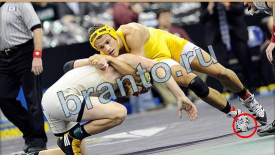 Где же кот игра подсказки Уровень 4854