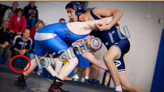 Где же кот игра помощь Уровень 4855