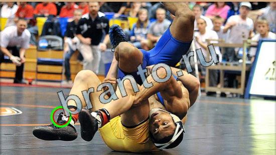 Игра Где же кот ответы Уровень 4857