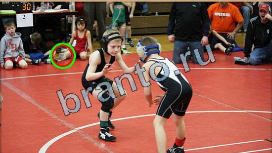 игра Где же кот помощь Уровень 4859