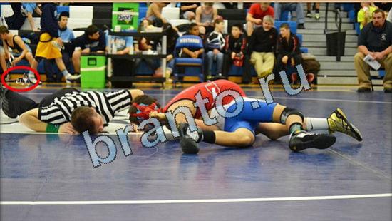 Игра Где же кот прохождение Уровень 4860