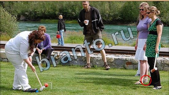 Где же кот прохождение игры Уровень 4862