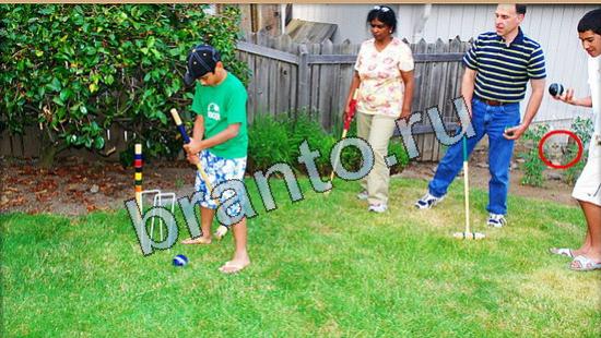 відповіді на игру Где же кот в одноклассниках Уровень 4863