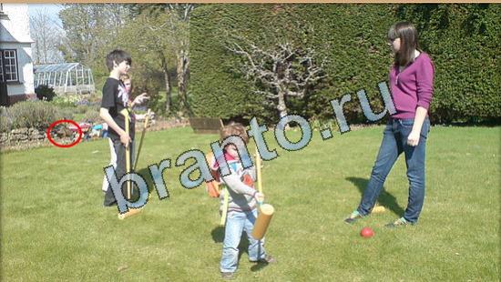 ответы Где же кот Уровень 4865