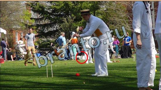 ответы для игры Где же кот Уровень 4867