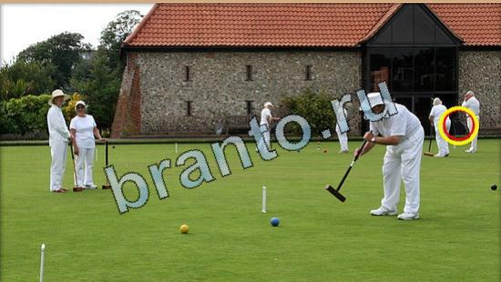 Где же кот игра ответы Уровень 4869