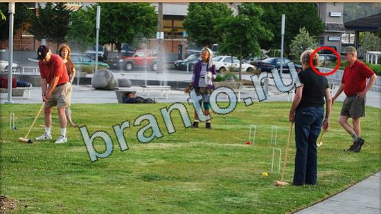 Где же кот помощь в картинках Уровень 4871