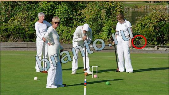 ответы на игру Где же кот Уровень 4874