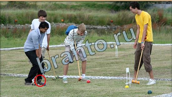 ответы на игру Где же кот Уровень 4876