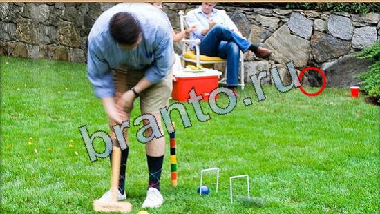 Где же кот игра ответы Уровень 4880