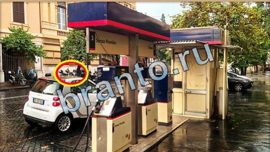 ответы на игру Где же кот Уровень 4921