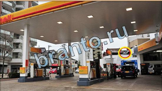 Подсказки на игру Где же кот Уровень 4922