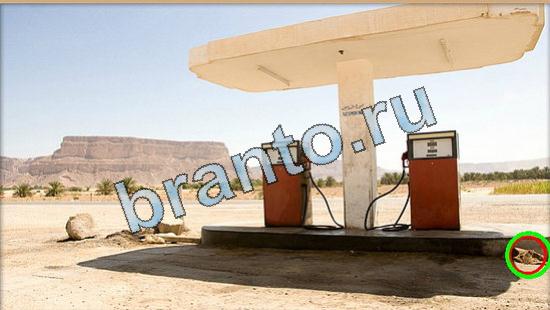 Где же кот? подсказки Уровень 4929