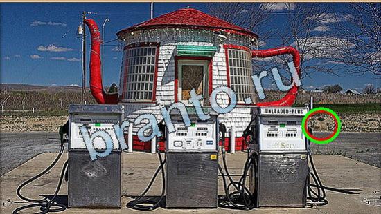 Где же кот игра ответы Уровень 4933