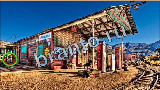 Игра Где же кот подсказки Уровень 4938