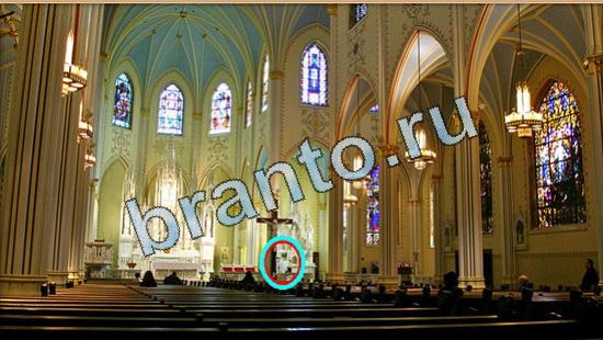 ответы Где же кот Уровень 4945