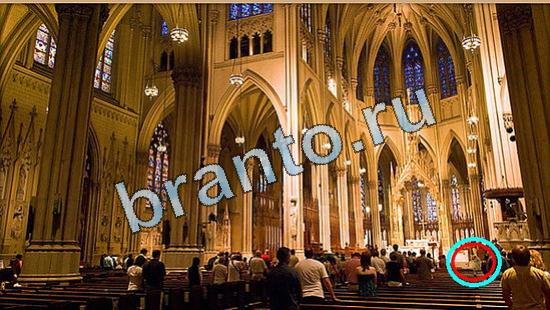 решения для игры Где же кот Уровень 4948