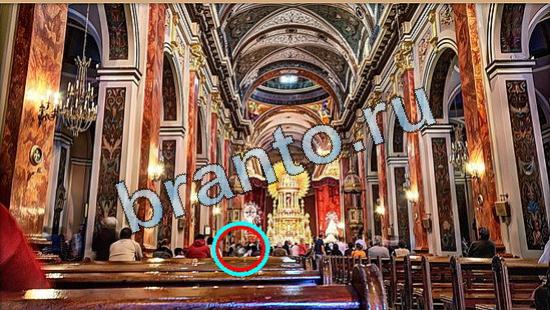 решения на игру Где же кот Уровень 4955