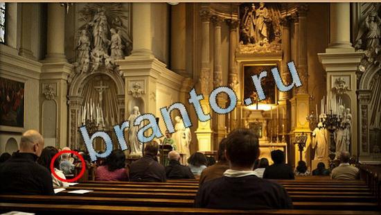 ответы на игру Где же кот Уровень 4956