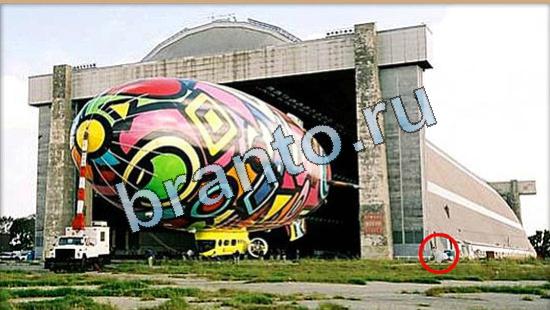 ответы на игру Где же кот Уровень 4961