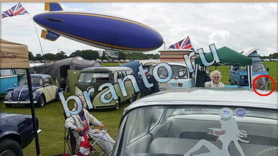 Помощь на игру Где же кот Уровень 4964