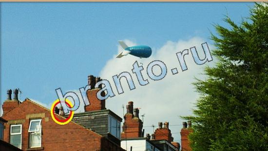 Игра Где же кот подсказки Уровень 4978