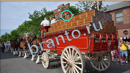 Где же кот прохождение игры Уровень 4982