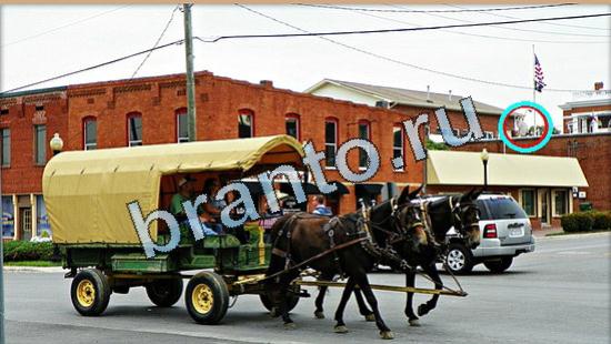 відповіді на игру Где же кот в одноклассниках Уровень 4983