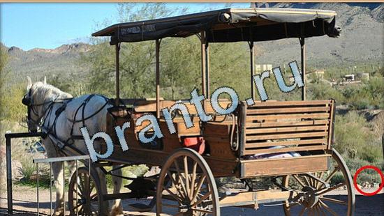 Прохождение игры Где же кот Уровень 4984