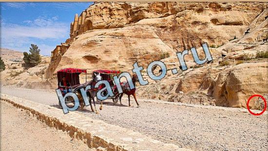 ответы для игры Где же кот Уровень 4987