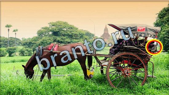 решения для игры Где же кот Уровень 4988