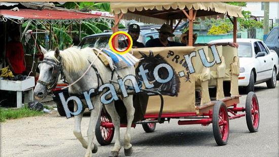 Где же кот игра ответы Уровень 4989