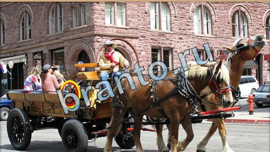 игра в одноклассниках Где же кот ответы Уровень 4990