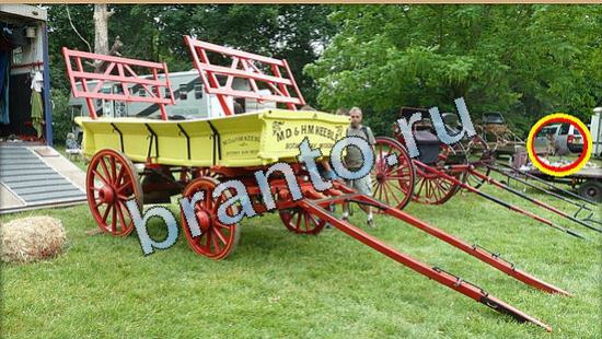 ответы на игру Где же кот в скриншотах Уровень 4992