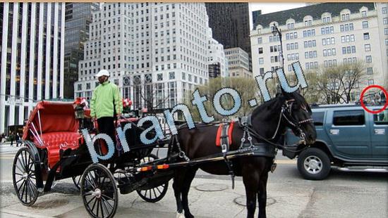 Где же кот ответы на новые задания Уровень 4993