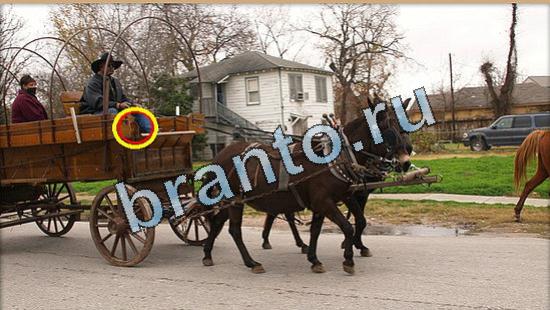 решения на игру Где же кот Уровень 4995