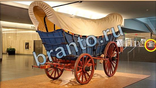 ответы на игру Где же кот Уровень 4996