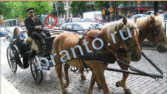 ответы в картинках на игру Где же кот Уровень 4997