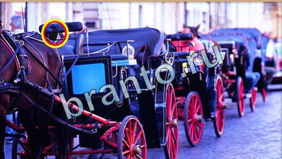 помощь на игру Где же кот Уровень 4998